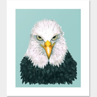 Bald eagle portrait Posters and Art